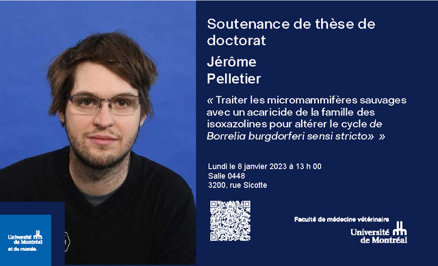 Soutenance de thèse - Jérôme Pelletier