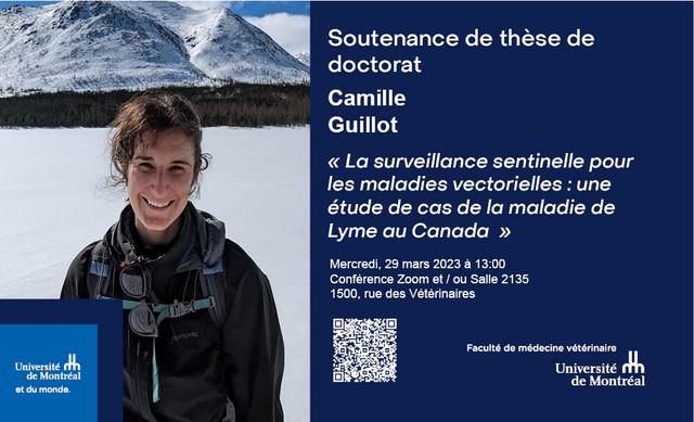 Soutenance de thèse - Camille Guillot