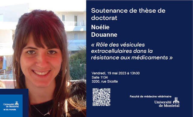 Soutenance de thèse - Noélie Douanne