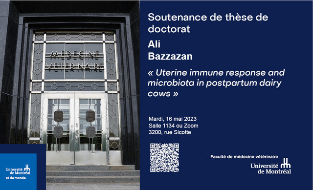 Soutenance de thèse - Ali Bazzazan