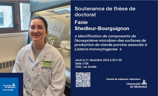 Soutenance de thèse - Fanie Shedleur-Bourguignon