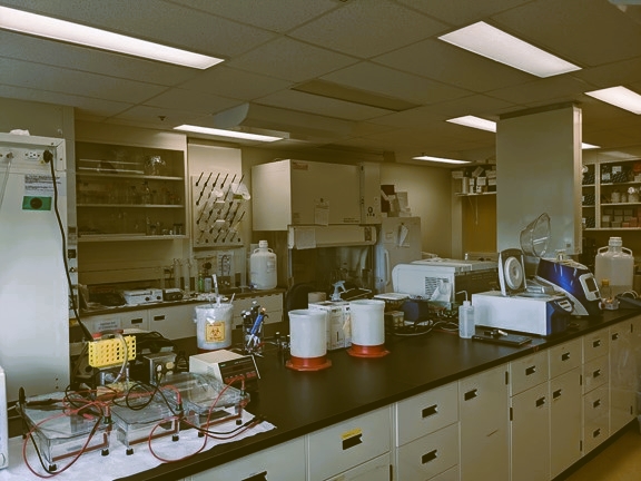 Photo de laboratoire du CRSV